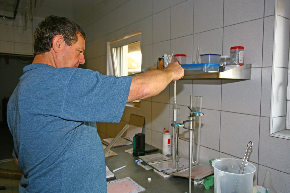 Messung des Alkoholgehalts mit der Spindel